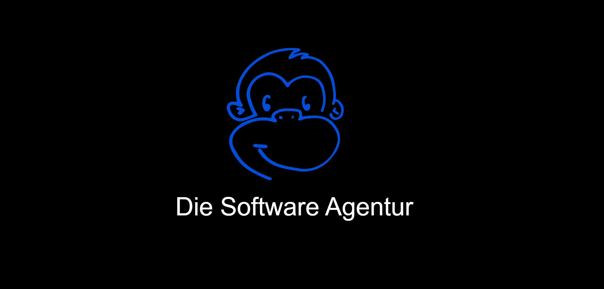 Jimmy - Die Software Agentur Logo